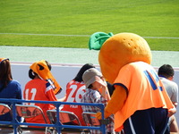 DSCF9530