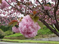 20150416_144818