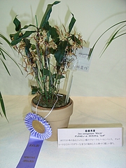 RIMG0042