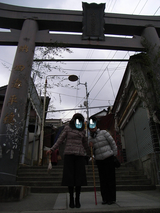 RIMG0277.JPG
