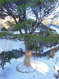 DSCN1930