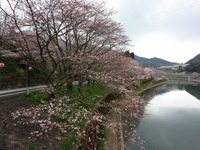 20150331_102814