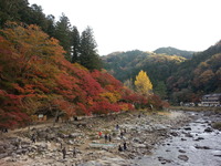 20141121_154538