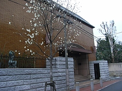 RIMG1258