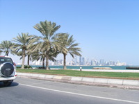 RIMG0788