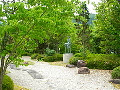IMGP2994