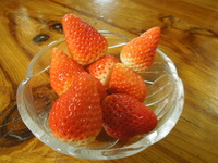 DSCN9905