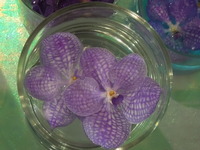 DSCN9942