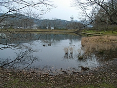 RIMG0381