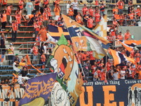 DSCF8811