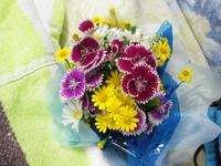 IMGP0355