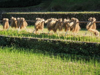 DSCN0163
