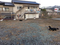 20170124_160952