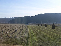 RIMG0262