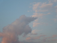 DSCN8158