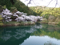 DSCF1410