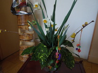 DSCN2417