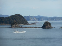 DSCN5439