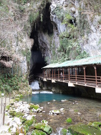 DSCN5681