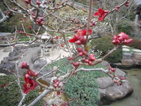 DSCN0534