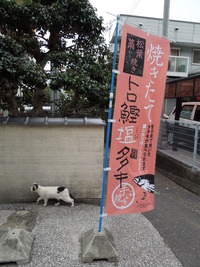 DSCN4426