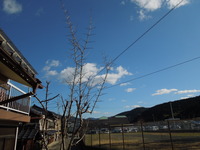 DSCN2394