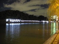 IMGP1305