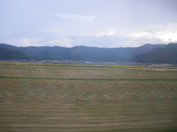 IMGP0288