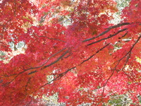 DSCN0695