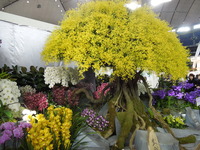 DSCN4729
