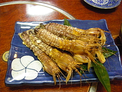 IMGP3441