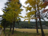 DSCN1265