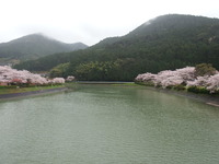 DSCF1105