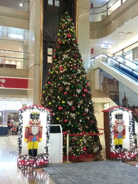 20121225_180640
