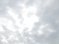DSCN0151
