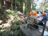 BlogPaint