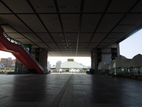 DSCN8508