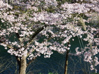 DSCF1300