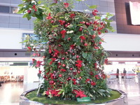 20141224_154126