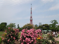 DSCN0408
