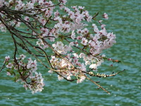 DSCF1256
