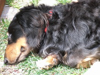 RIMG0847