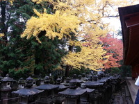 20141125_094530