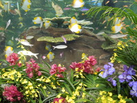 DSCN4765
