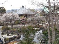 DSCN0560