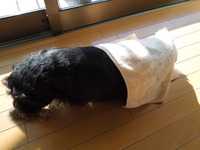 DSCN2397