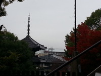 20141125_111639
