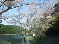 DSCF1243