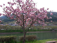 20150416_144603