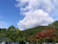 RIMG0621